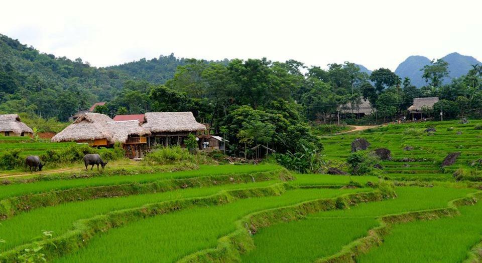 Puluong Valley Home Thanh Hóa エクステリア 写真